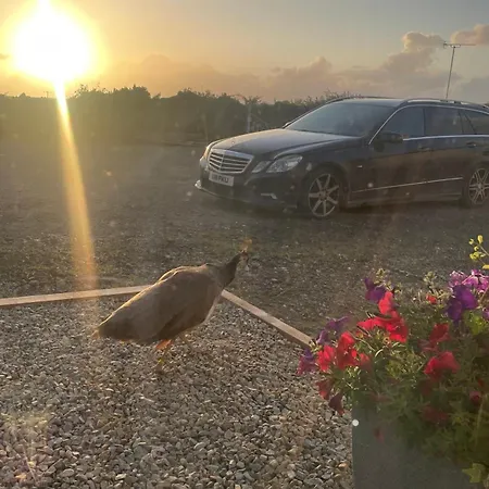 Family And Pet Friendly Farm * Ballyshannon