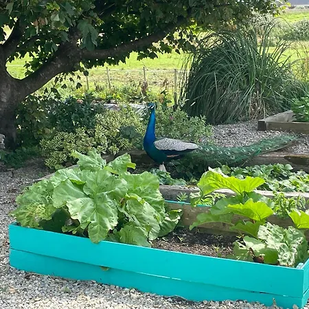 Family And Pet Friendly Farm Feriehus *