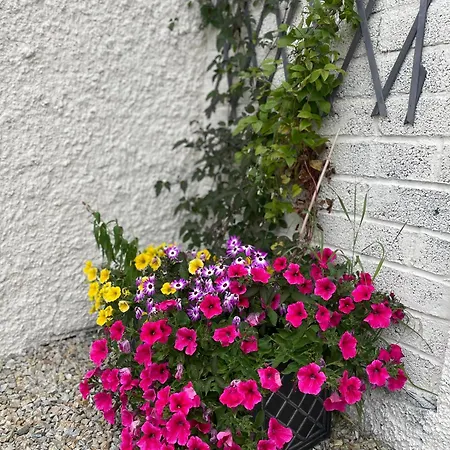 Family And Pet Friendly Farm * Ballyshannon