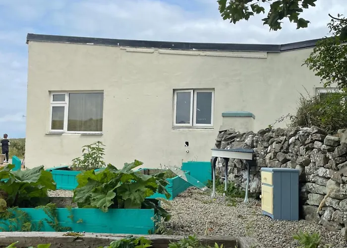 Family And Pet Friendly Farm 度假居 巴利香农