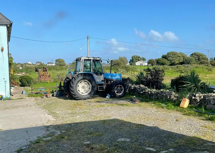 Family And Pet Friendly Farm *