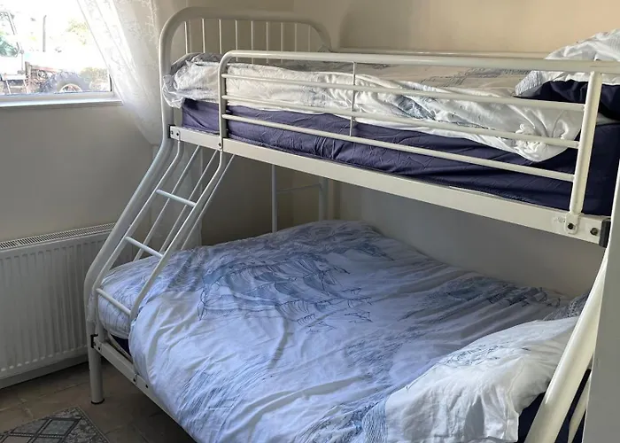 Family And Pet Friendly Farm 巴利香农