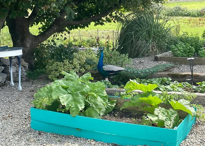 Family And Pet Friendly Farm 度假居 *