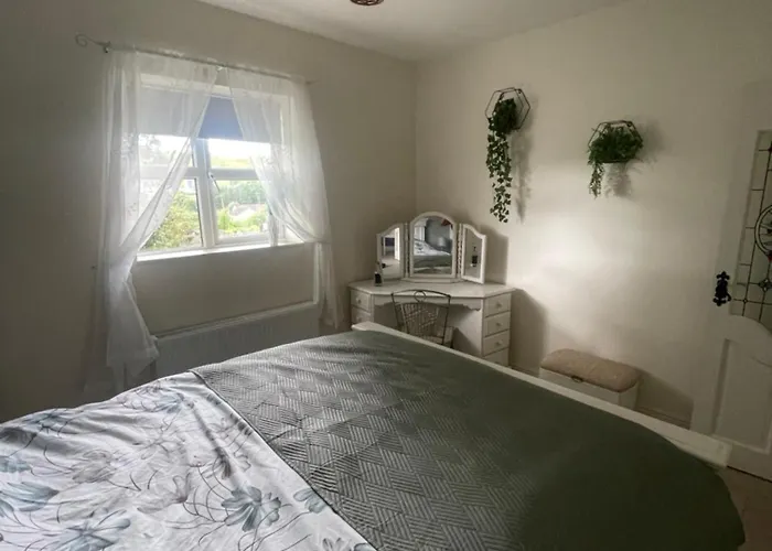 度假居 Family And Pet Friendly Farm 巴利香农